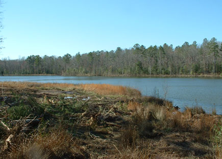 galleryImage1