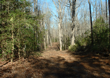 galleryImage3