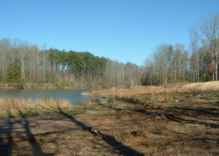 galleryImage5
